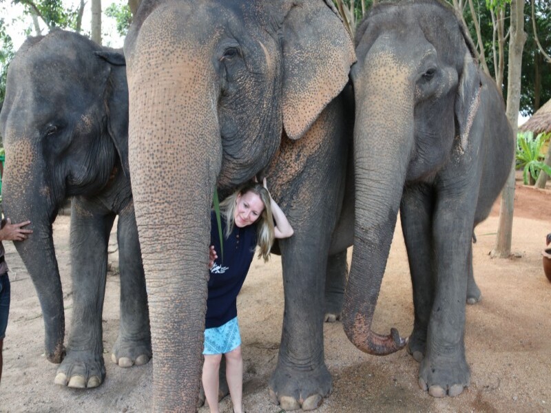 Samui Elephant Kingdom (SIC)