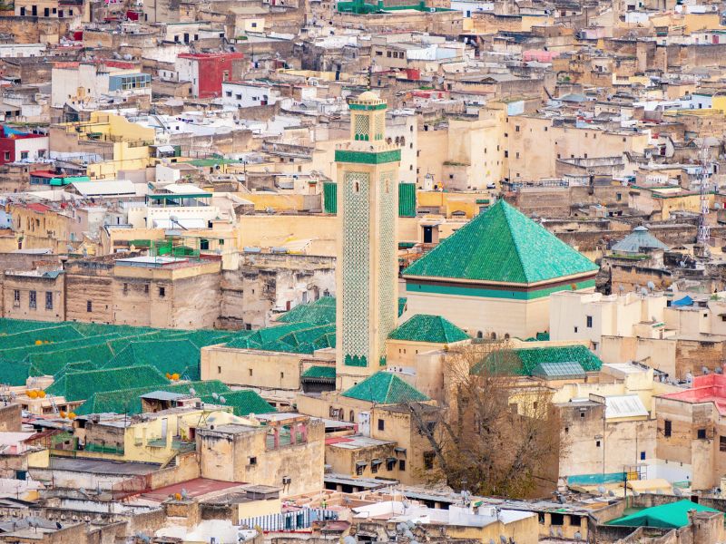 Overland - Fes Medina & Animal Welfare