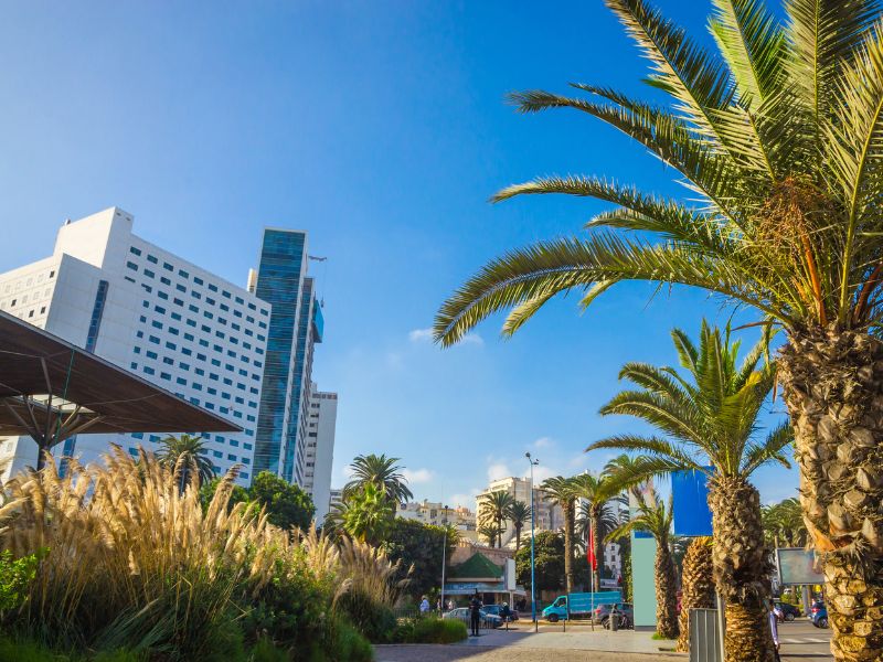 Fes to Casablanca & Casablanca Discovery