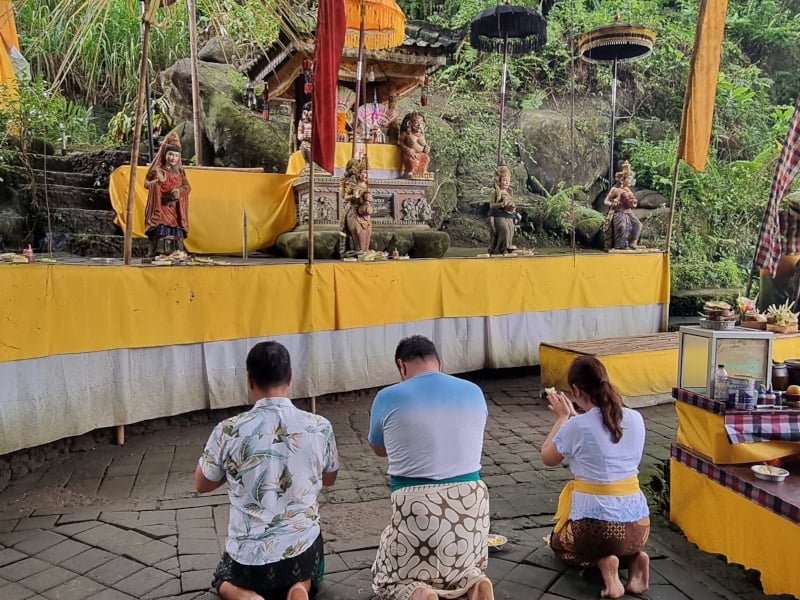 Bali Wellness Day