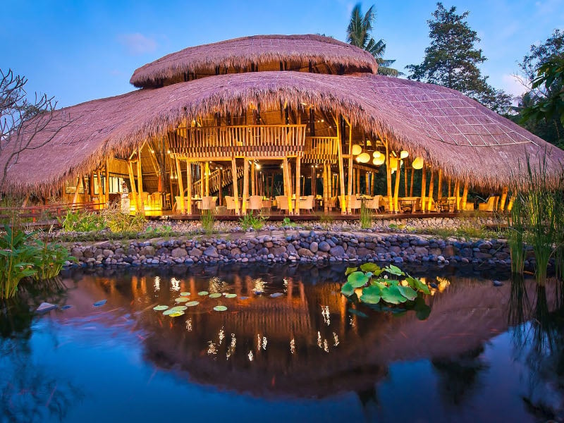 Bali Wellness Day