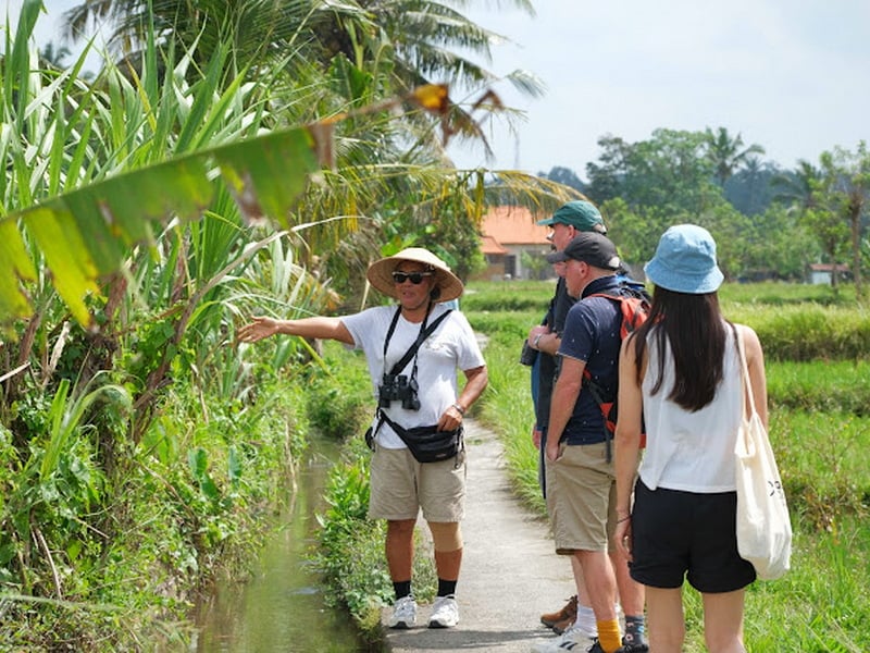 Ubud Naturalist and Birds Walk