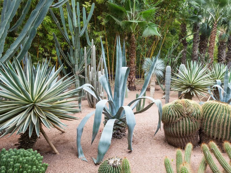 Standalone - Marrakech New City Experience