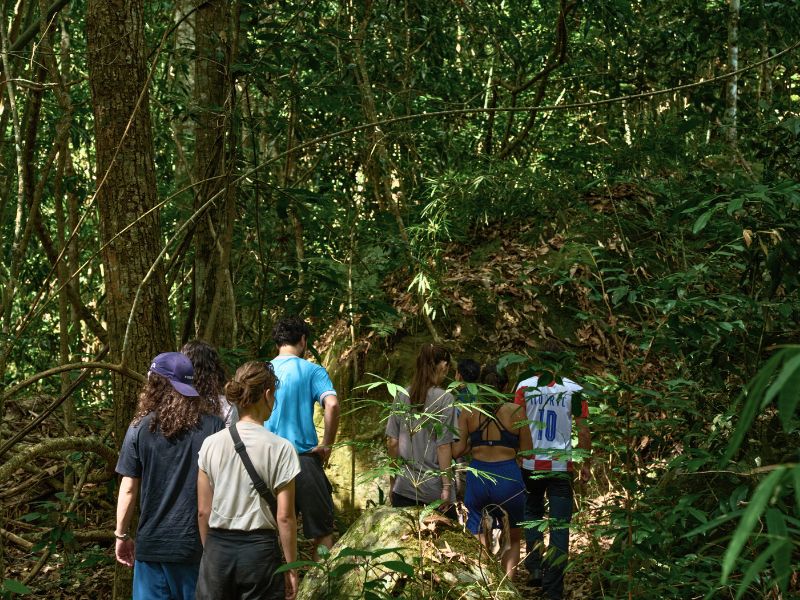 Nam Kat Yorla Paa Orchid Specialist Trek