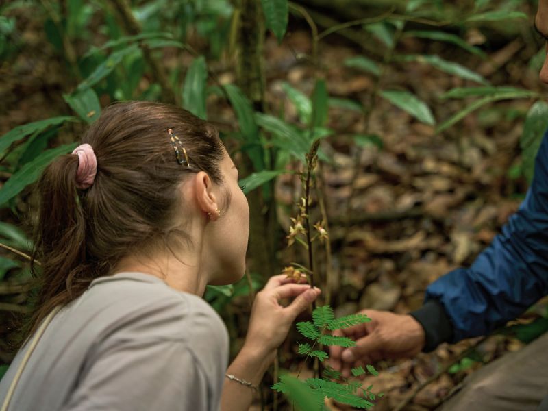 Nam Kat Yorla Paa Orchid Specialist Trek