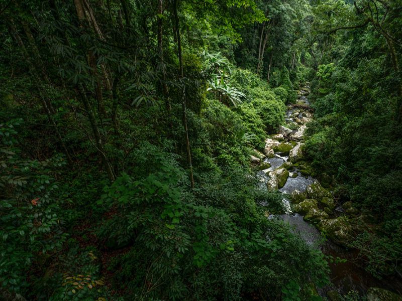 Nam Kat Yorla Paa Waterfall Discovery