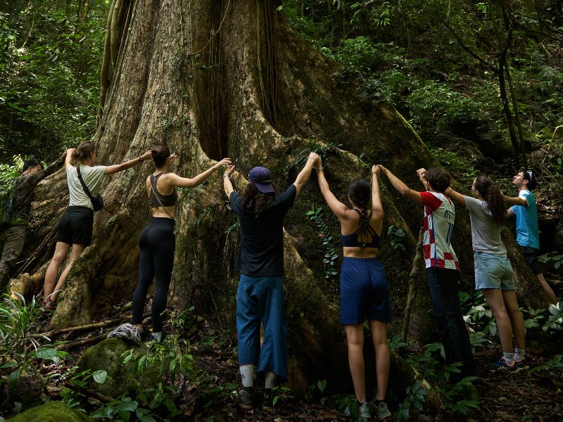Nam Kat Yorla Paa Giant Tree Hike