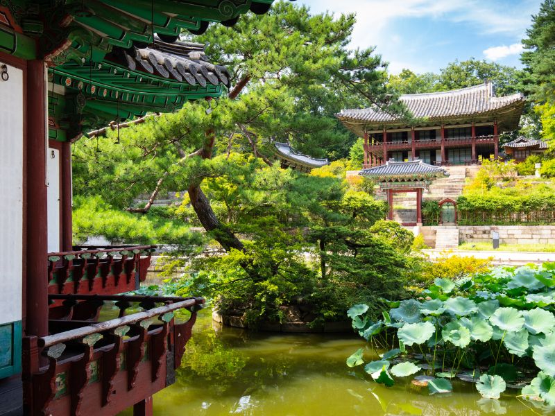 Seoul by Foot & Metro: History, Culture & Hidden Corners