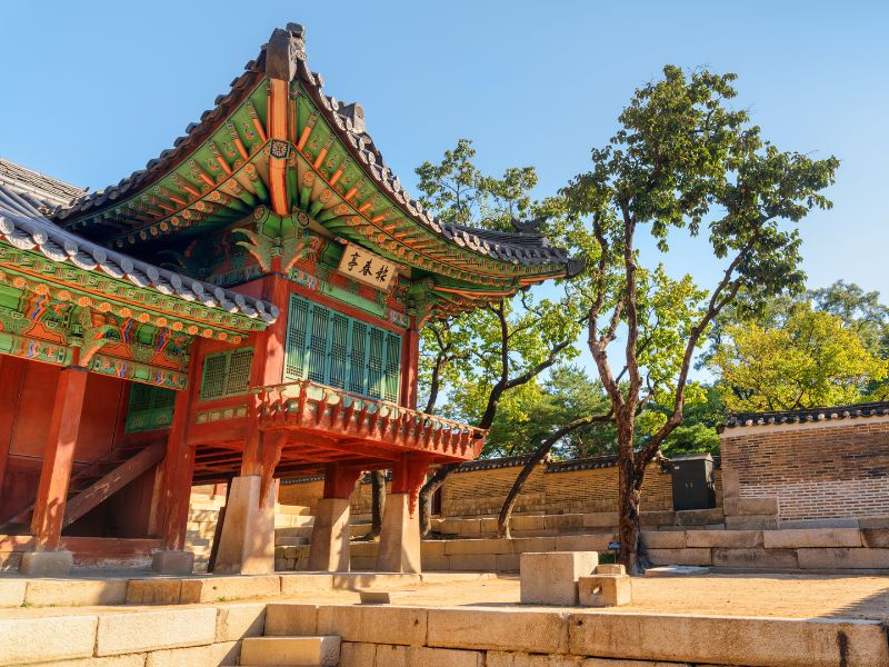 Seoul by Foot & Metro: History, Culture & Hidden Corners