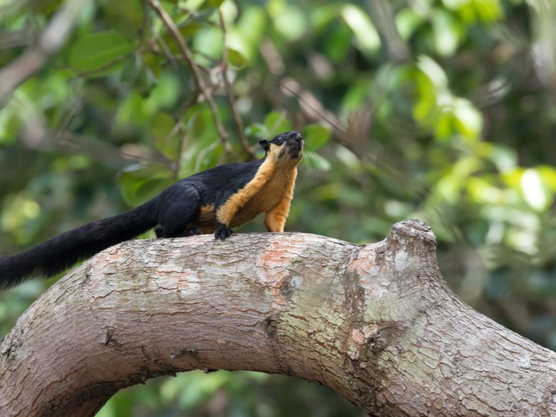 A Day in the National Park