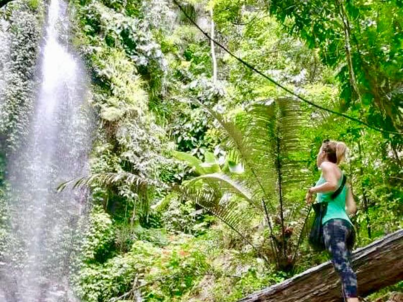 Trekking the Belum Tiger Trail