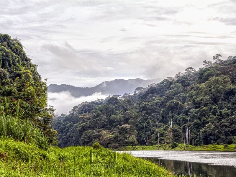 Trekking the Belum Tiger Trail