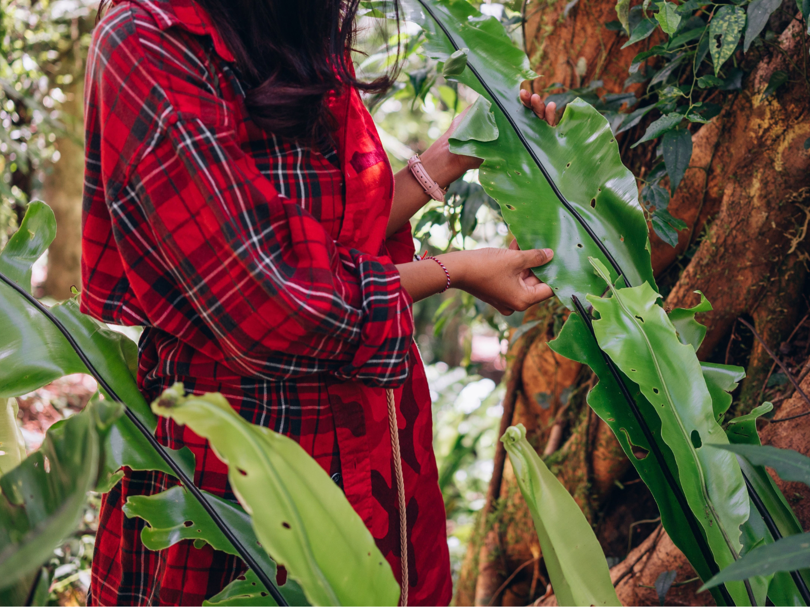Forest Bathing at Coral Hill