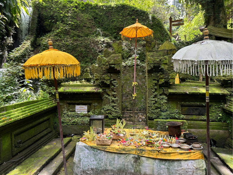 Ancient Heritage Blessing & Sound Healing