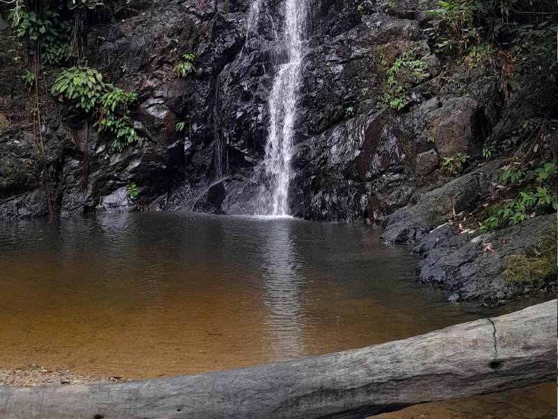 Biking Bliss In The Countryside