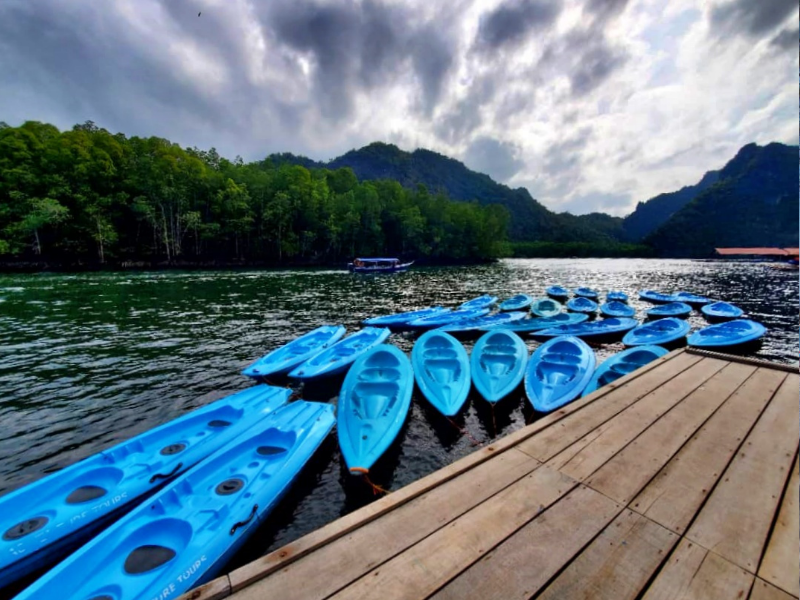 Langkawi Mangrove Forest Kayak (Join in Tour)