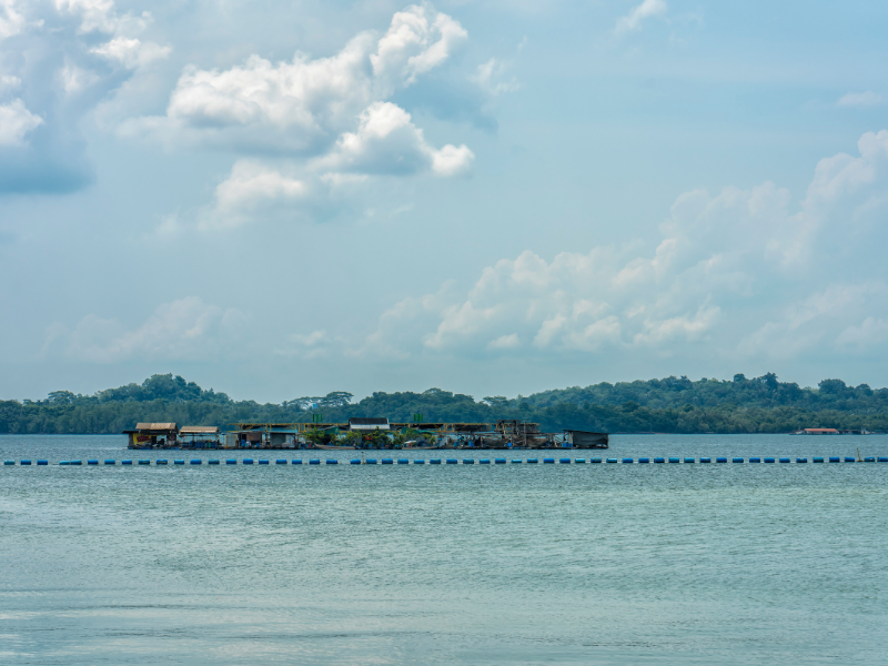 Singapore Boat Adventure