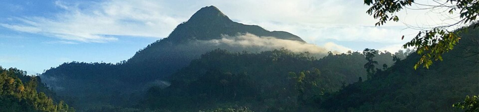 Image of Trekking the Belum Tiger Trail