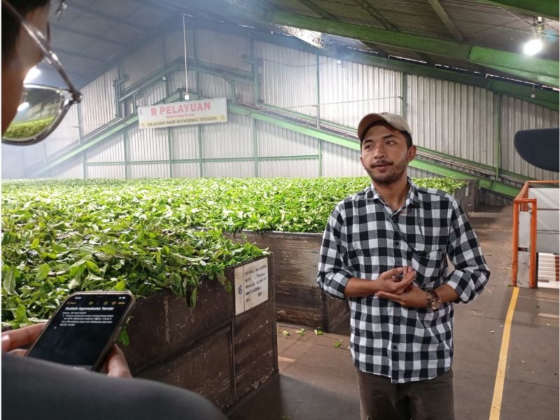 Magical Sunrise at Sikendil Hill