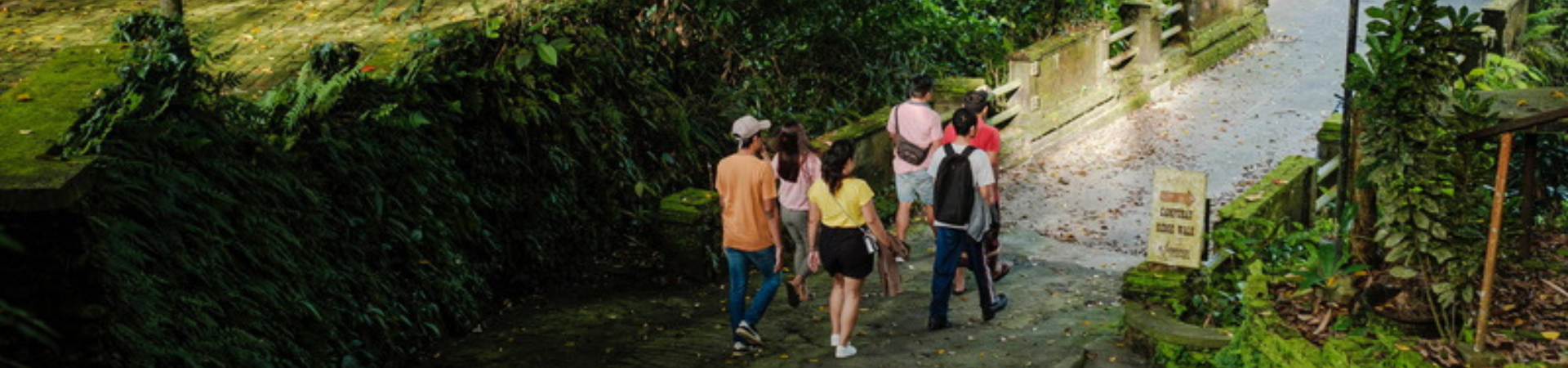 Image of Ubud Story Walks, History & Ancient Heritage