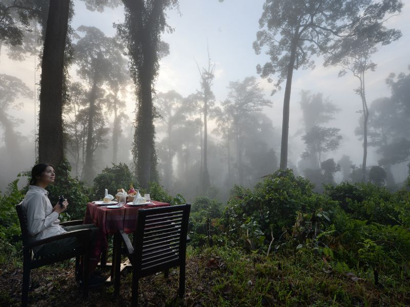 Private Breakfast with Nature