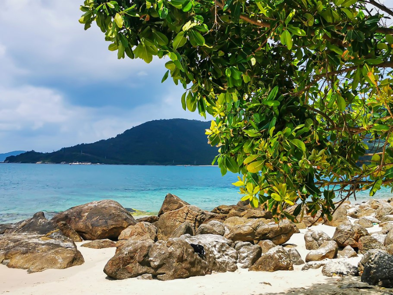 Tropical Cham Island by Private Speedboat