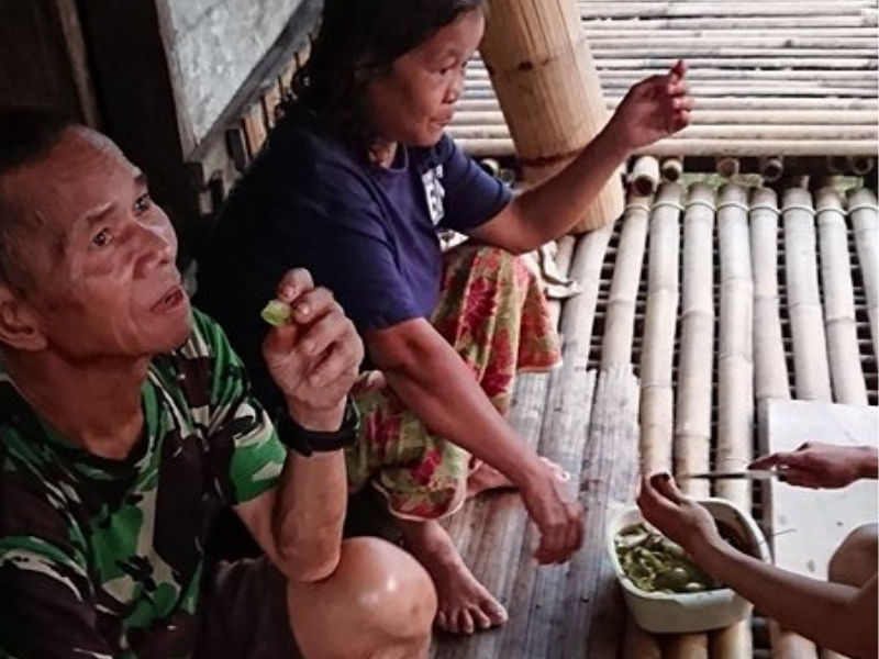 Fauna, Flora & Culture of Sarawak