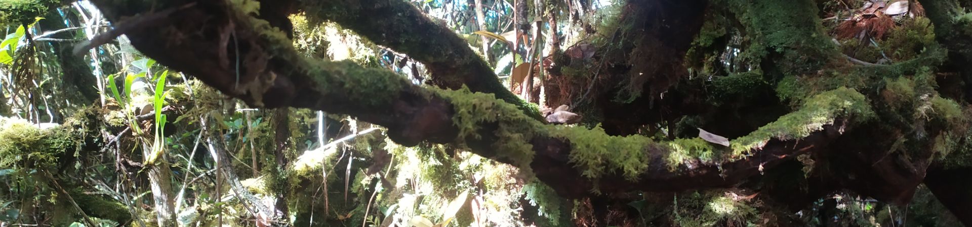 Image of Hiking Coral Hill