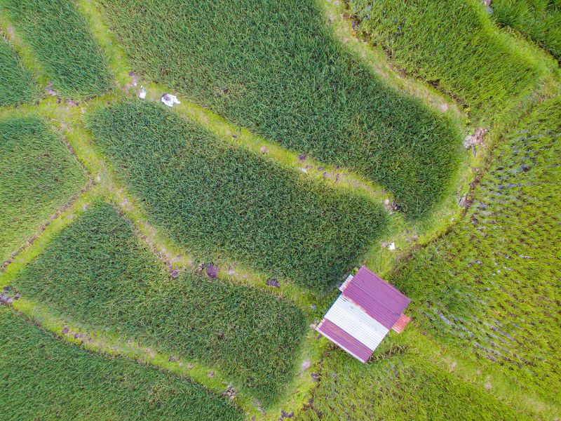 Rafting the Kiulu River - Family Friendly