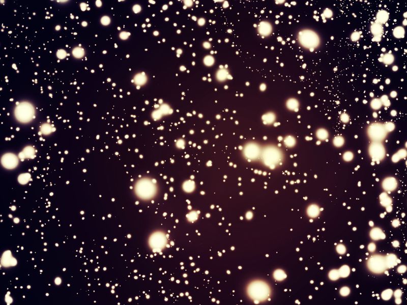 Kuala Selangor’s Fireflies