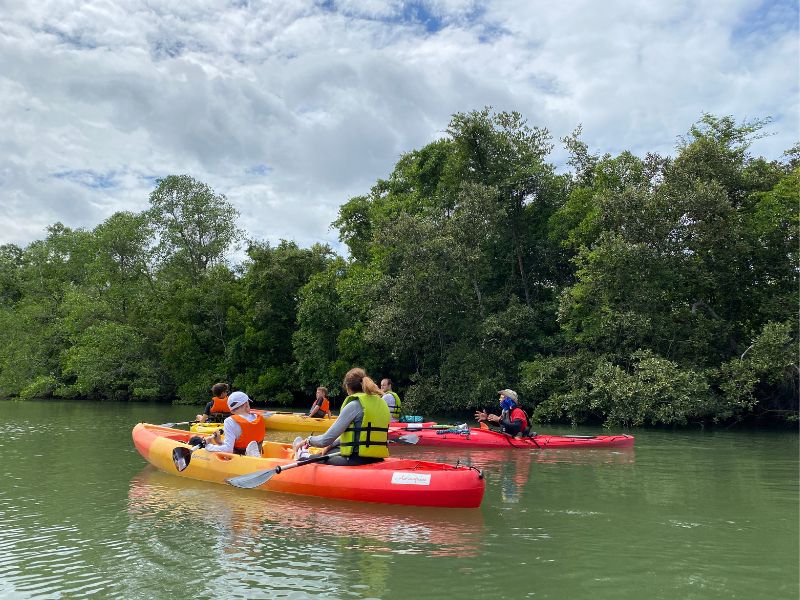 Pulau Ubin Mangrove Kayaking (Join-in)