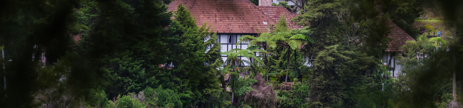 Image of A Cameron Highlands Mystery Walk