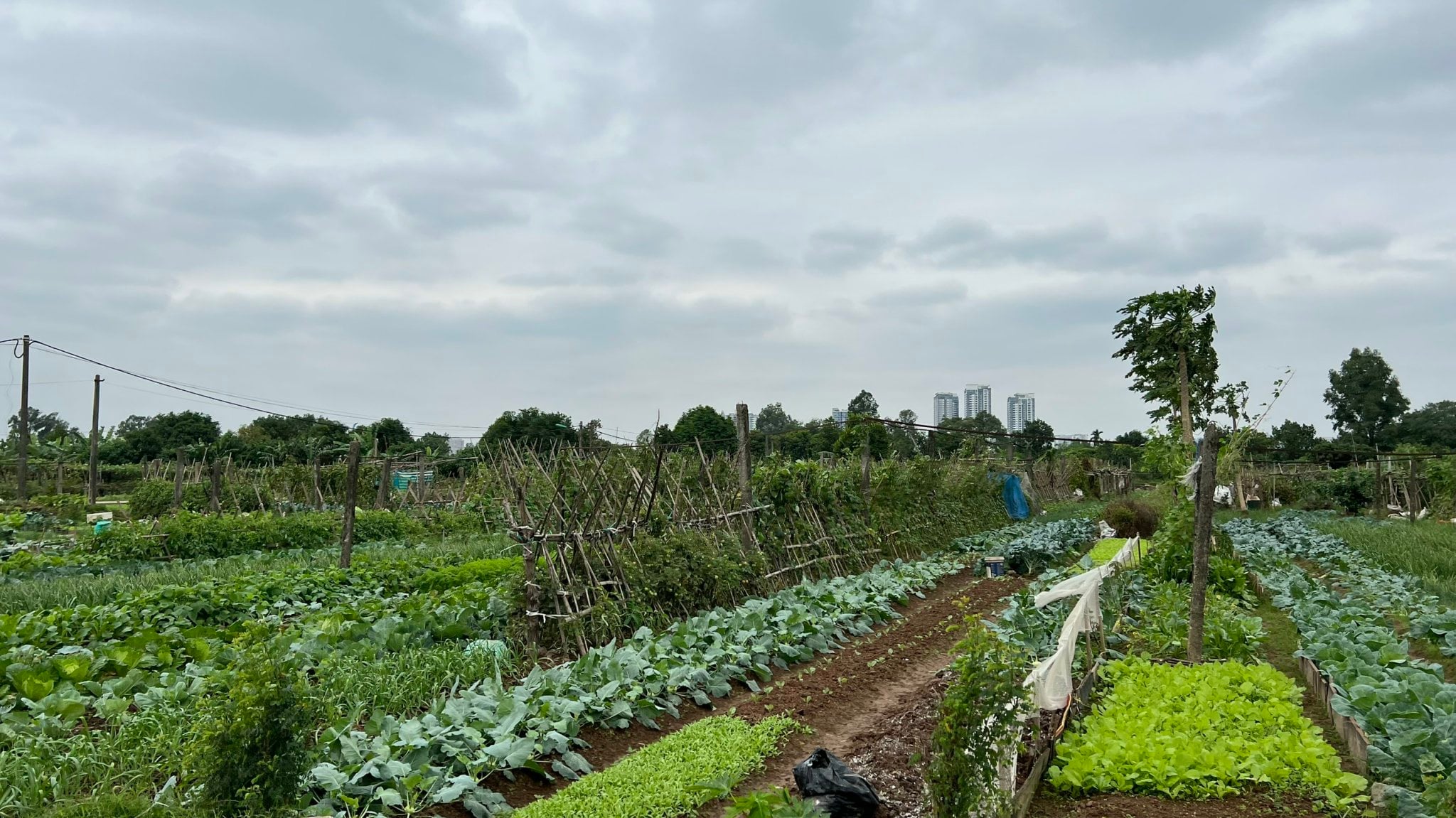 Red River Delta A Day On Two Wheels