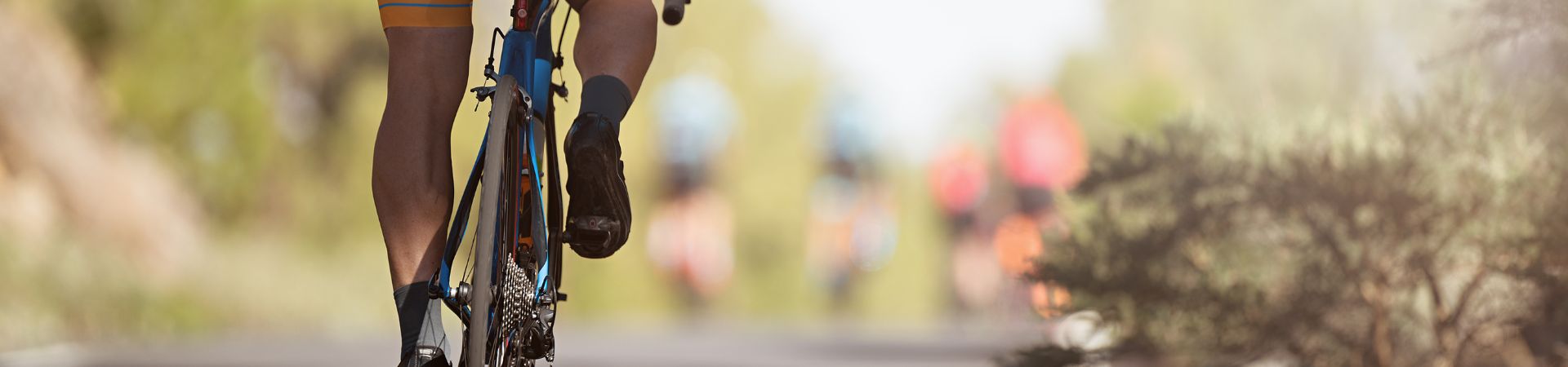 Image of Village Cycling Penang