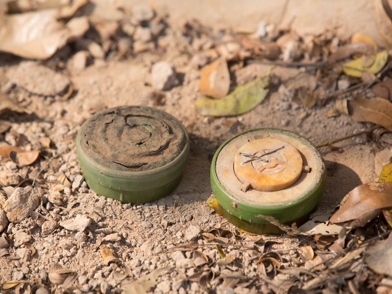 A Visit With Hero-Rats At Apopo Visitors Center