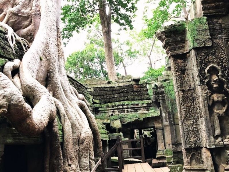 Angkor Temples from Sunrise to Sunset