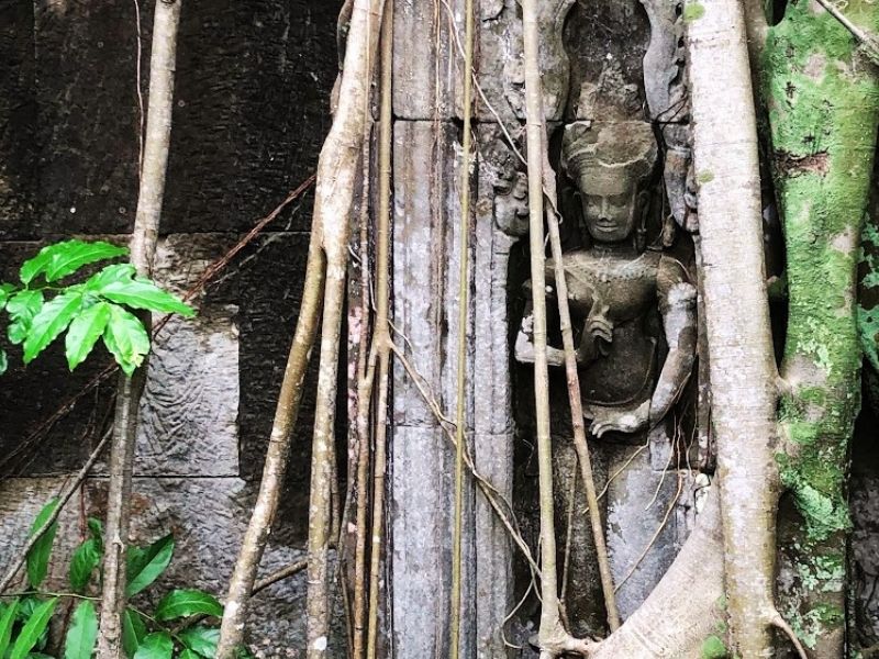 Angkor Temples from Sunrise to Sunset
