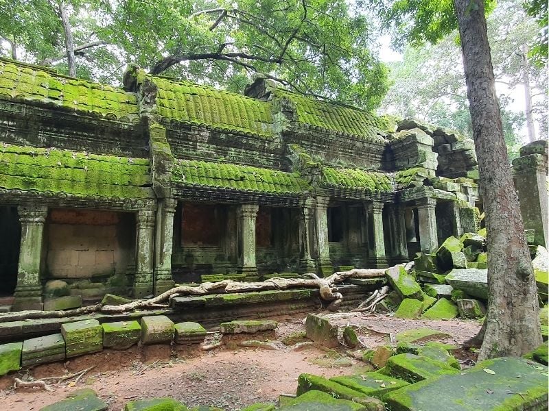 Angkor Temples Sightseeing