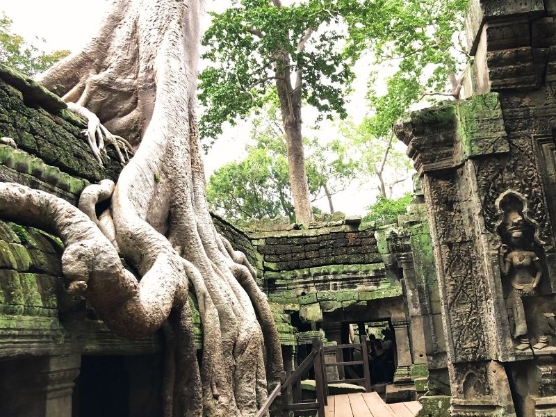 Angkor Wat with 60s Style & Sophistication