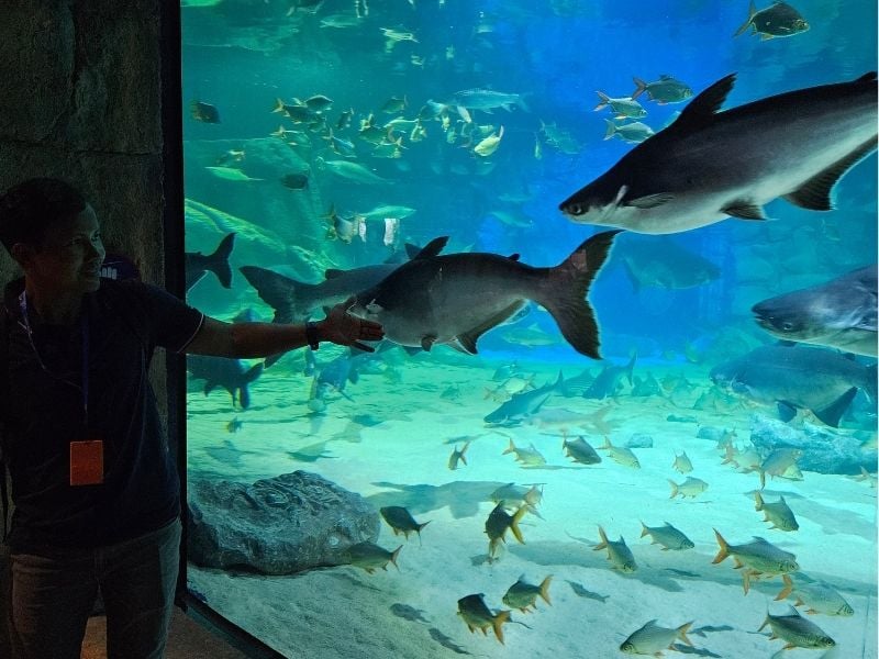 Aquatic Wonders of Tonle Sap