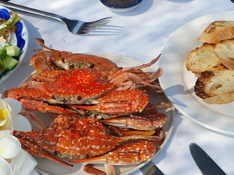 Be a Fisherman for a day