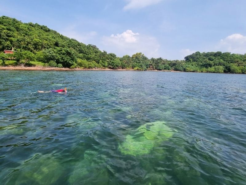 Be a Fisherman for a day