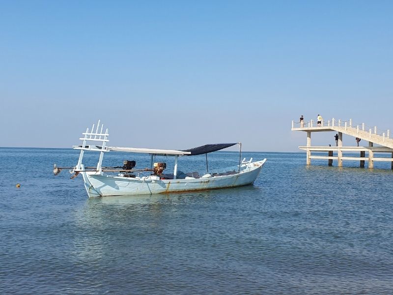 Be a Fisherman for a day