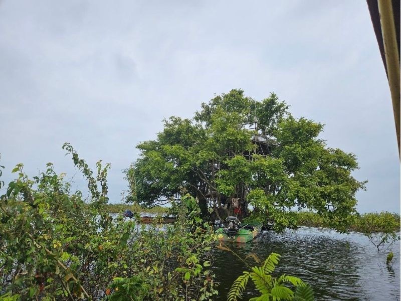 Birdwatching and floating village expedition