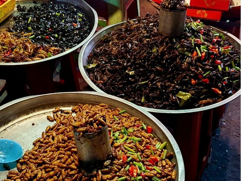 Cambodian Street Food Discovery