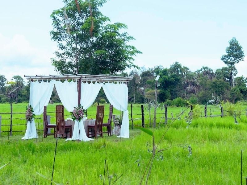 Dinner In The Rice Fields (join-in)