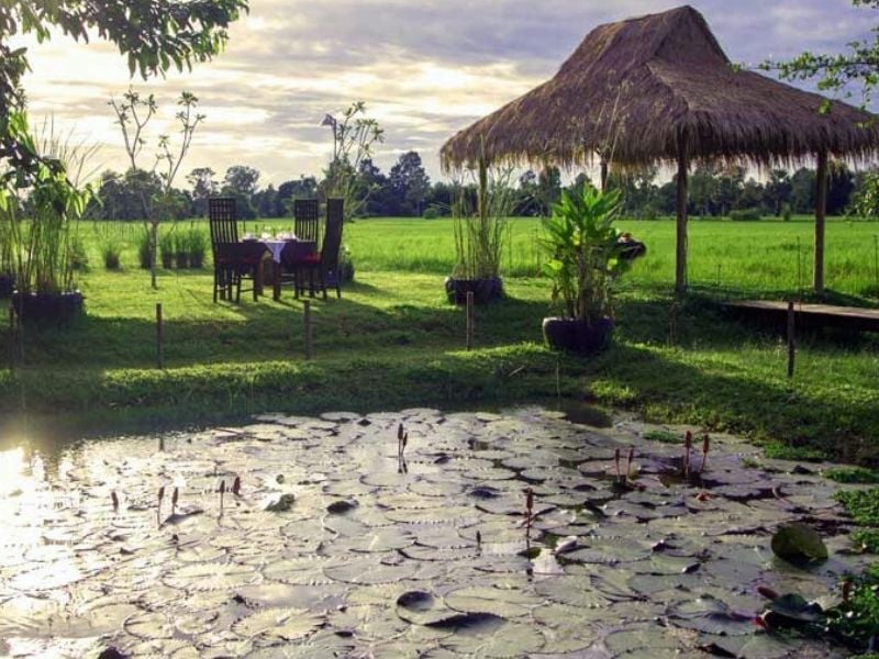 Dinner In The Rice Fields (join-in)