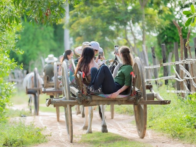 Dinner In The Rice Fields (join-in)