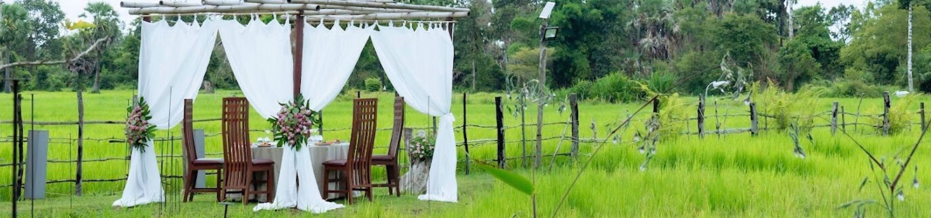 Image of Dinner In The Rice Fields (join-in)