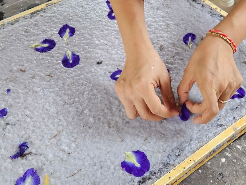 Discover the Magic of the Lotus